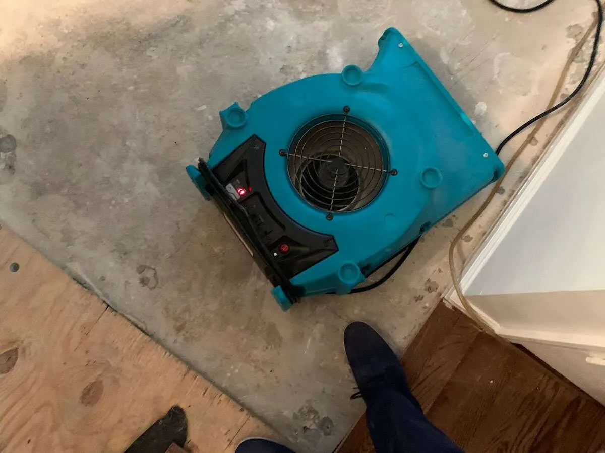 Air mover drying subfloor during Commercial Water Damage Restoration in Winona